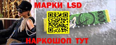 бошки Гатчина