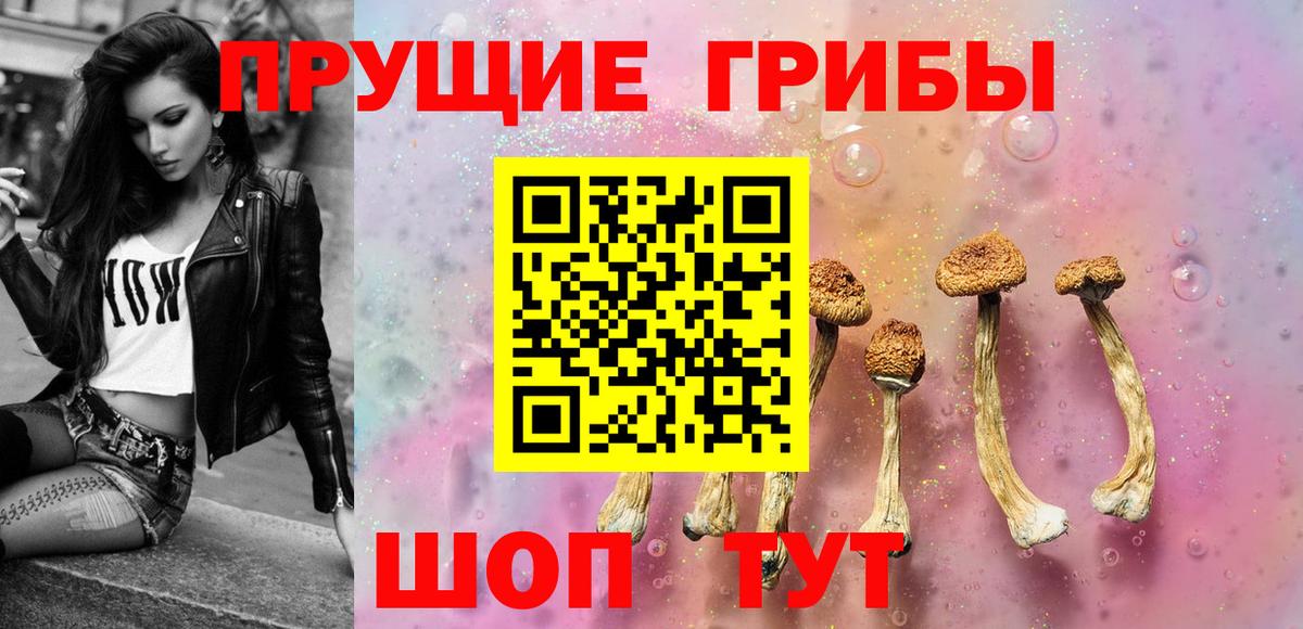 Галлюциногенные грибы Magic Shrooms Качканар